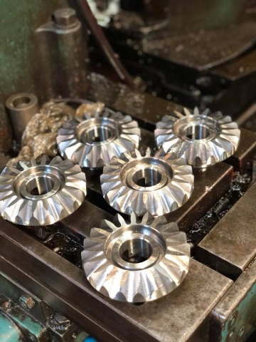 เฟืองดอกจอก